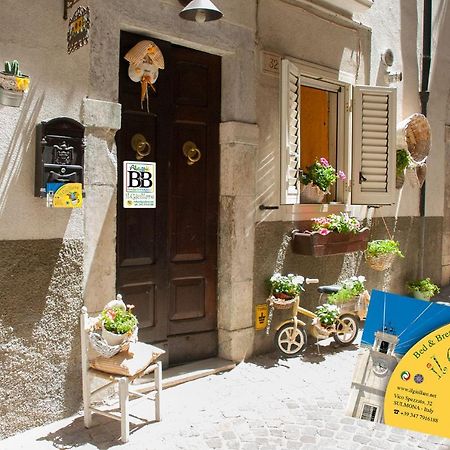 B&B Il Giullare Sulmona Dış mekan fotoğraf
