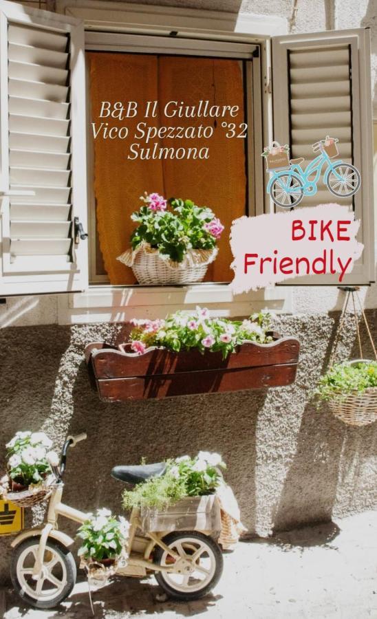 B&B Il Giullare Sulmona Dış mekan fotoğraf