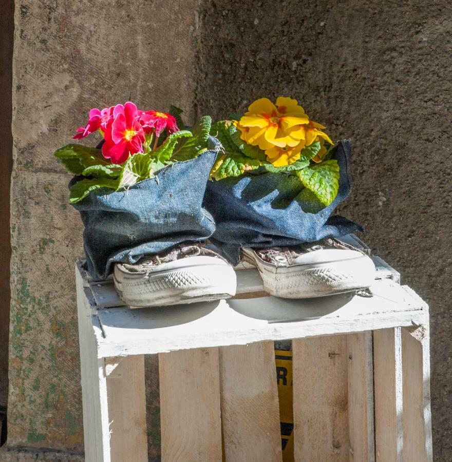 B&B Il Giullare Sulmona Dış mekan fotoğraf